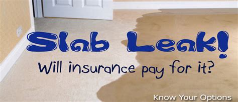 gainesville fl slab leak detection|Slab Leak Detection Gainesville Florida